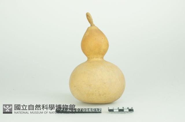 Accession Number:2007006017 Collection Image