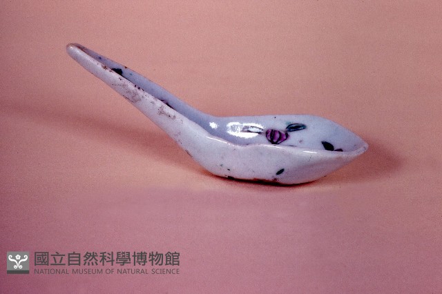 匙藏品圖，第1張