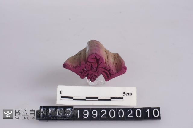 印版藏品圖，第1張