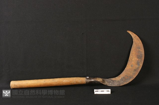 藍甸刀藏品圖，第1張