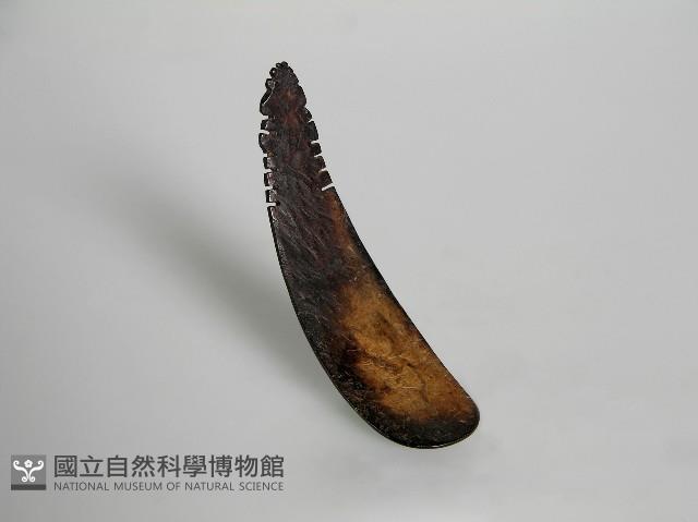 匙 藏品圖，第1張