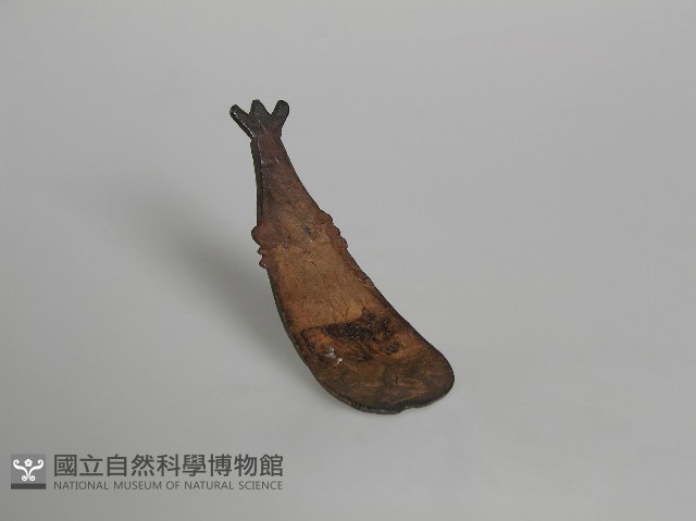 匙 藏品圖，第1張