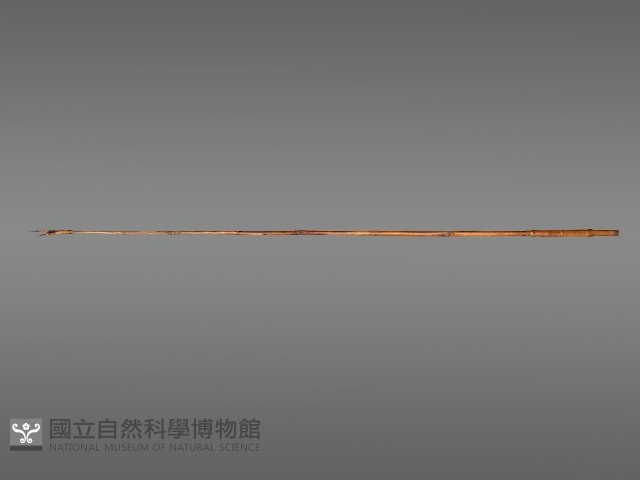 五年祭祭桿藏品圖，第1張