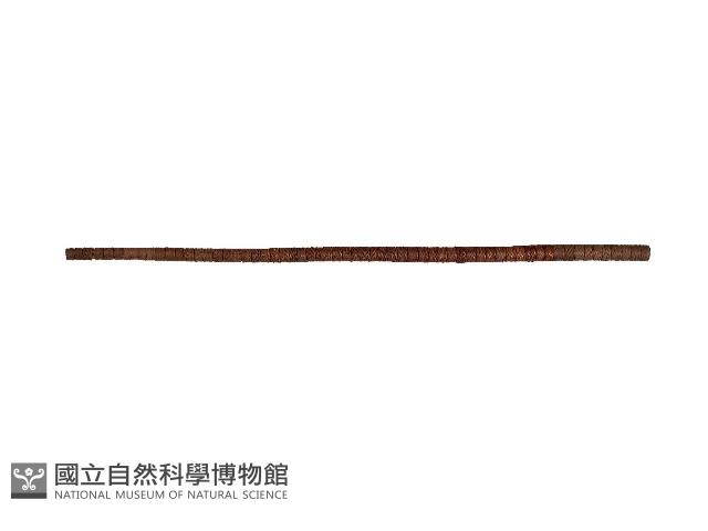 藤杖藏品圖，第1張