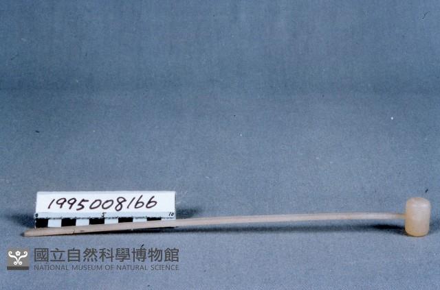 撥子藏品圖，第1張