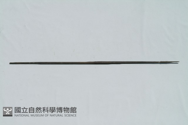 矛藏品圖，第1張