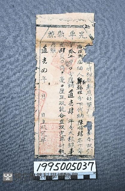 完單執照藏品圖，第1張