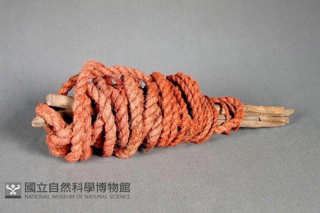 槳架 藏品圖，第1張