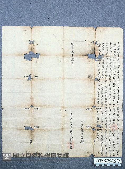 典貸借洗契藏品圖，第1張