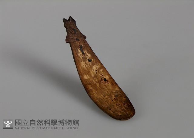 匙藏品圖，第1張