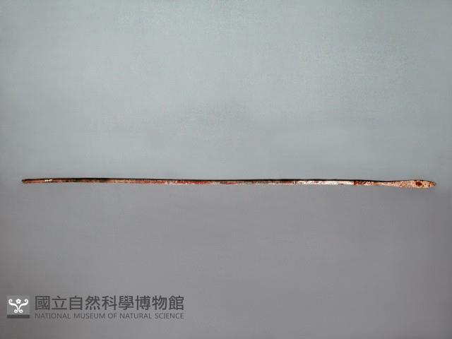 竹箭藏品圖，第1張