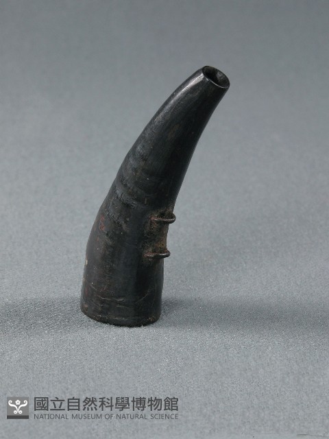 火藥筒藏品圖，第1張