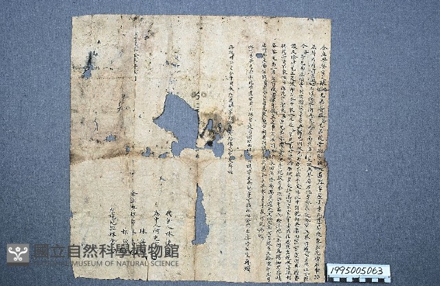 典貸借洗契藏品圖，第1張