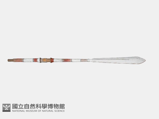 槳 藏品圖，第1張