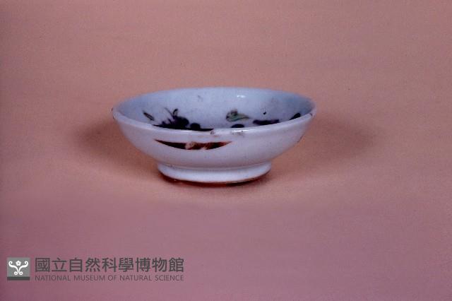 碟藏品圖，第1張