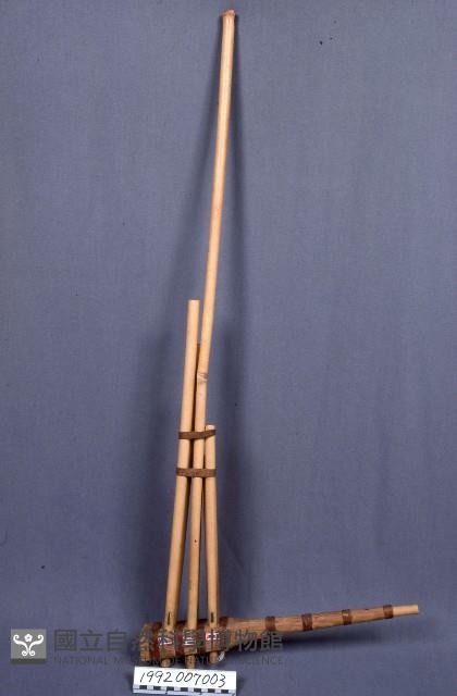 蘆笙藏品圖，第1張