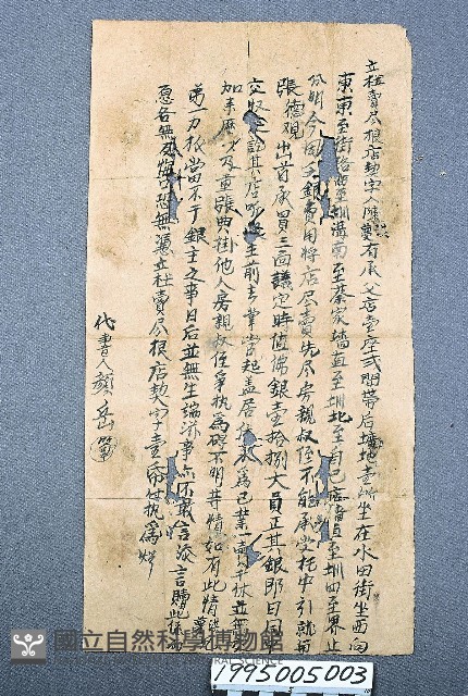 房地買賣契藏品圖，第1張