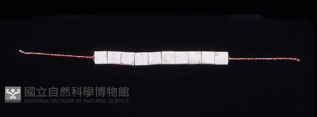 貝製首飾藏品圖，第1張