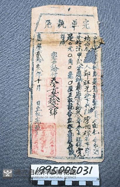 Accession Number:1995005031 Collection Image