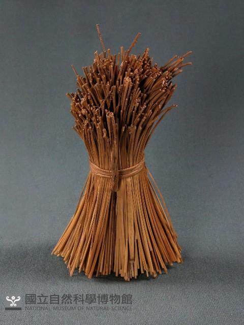 小米桿藏品圖，第1張