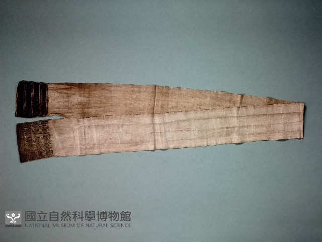 丁字褲藏品圖，第1張