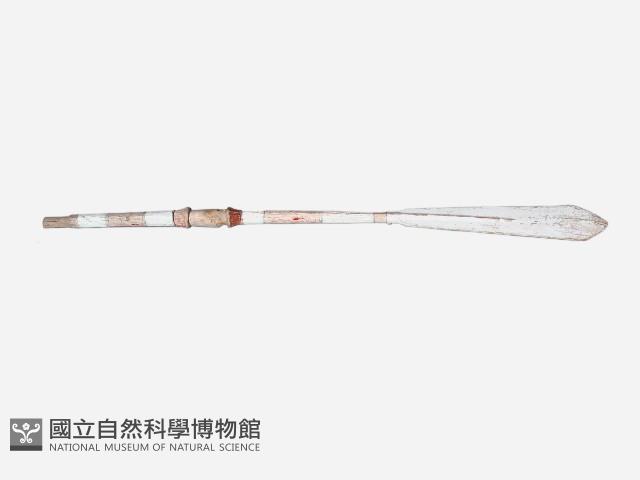 槳 藏品圖，第1張