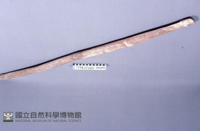 扁擔藏品圖，第1張