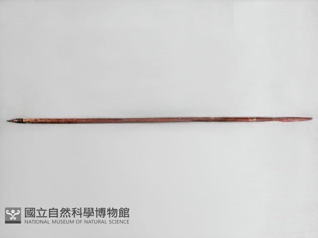 槍藏品圖，第1張