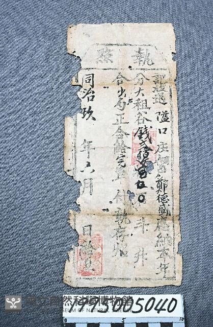 執照藏品圖，第1張