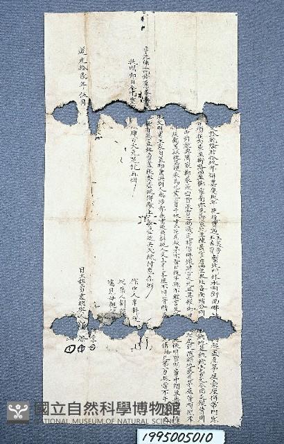 房地買賣契藏品圖，第1張