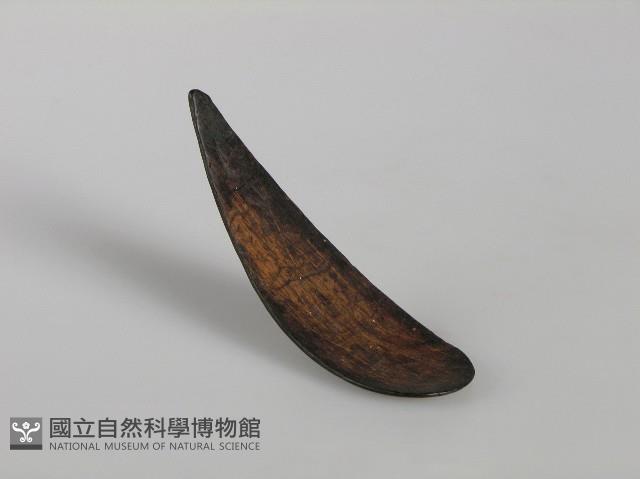 匙藏品圖，第1張