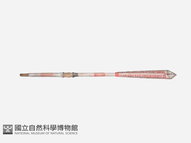 槳 藏品圖，第1張