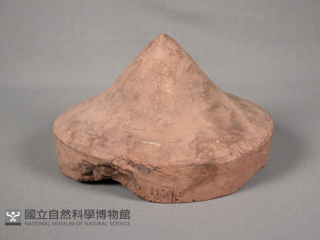 斗笠模型藏品圖，第1張