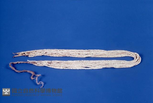 Accession Number:0000001274 Collection Image