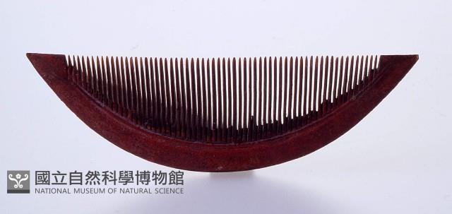 梳子藏品圖，第1張