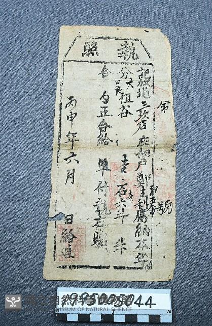 執照藏品圖，第1張