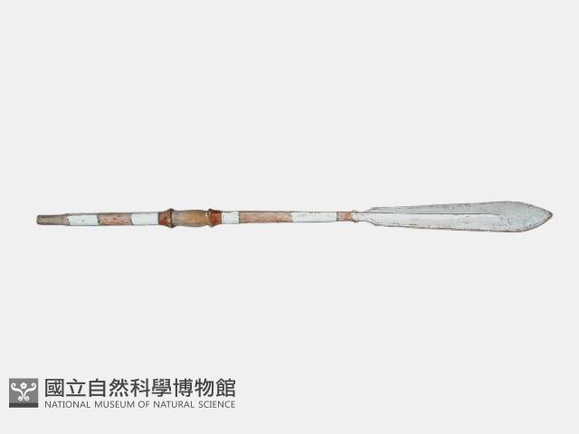 槳 藏品圖，第1張