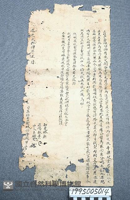 房地買賣契藏品圖，第1張