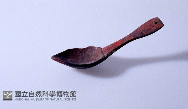 匙藏品圖，第1張