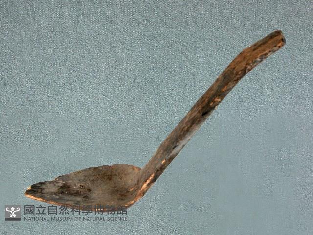 小木匙藏品圖，第1張