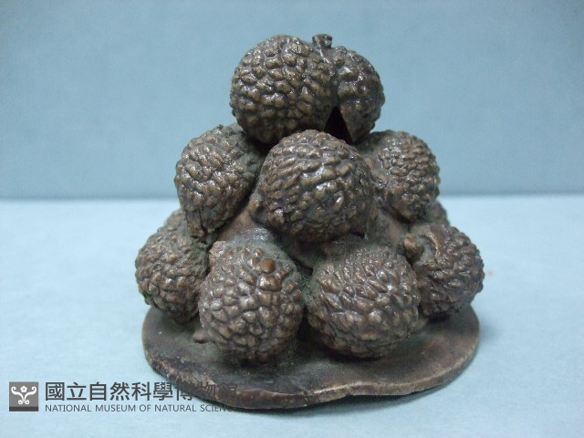 瓷生果盆藏品圖，第1張