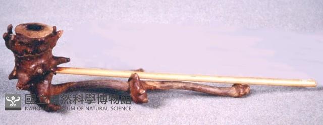 煙斗藏品圖，第1張