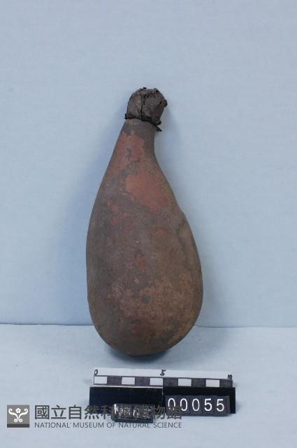 占卜瓢葫藏品圖，第1張