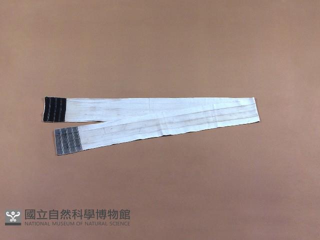 丁字褲藏品圖，第1張