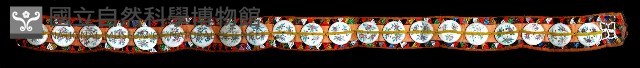 肩帶藏品圖，第1張
