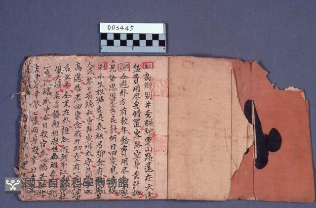 劇本藏品圖，第1張