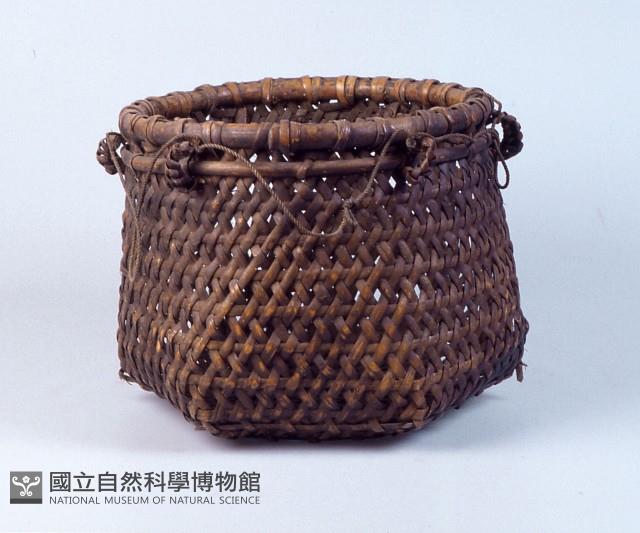 背芋籠 藏品圖，第1張