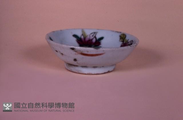 Accession Number:0000001405 Collection Image