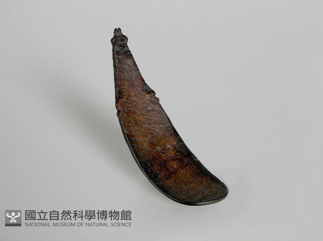 匙 藏品圖，第1張