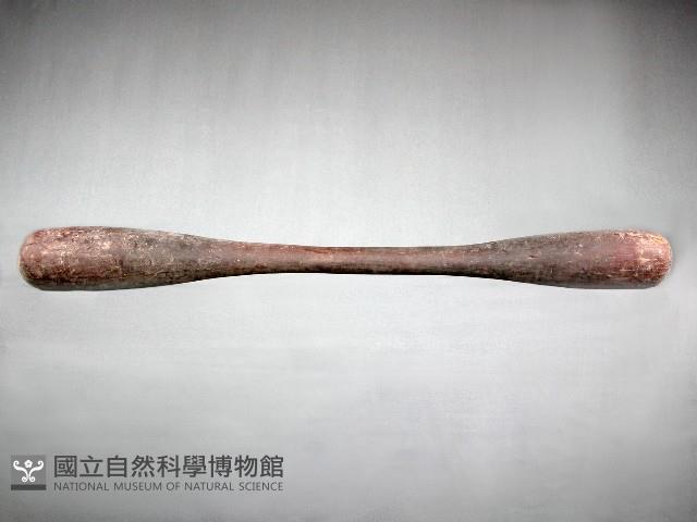 Accession Number:0000000092 Collection Image